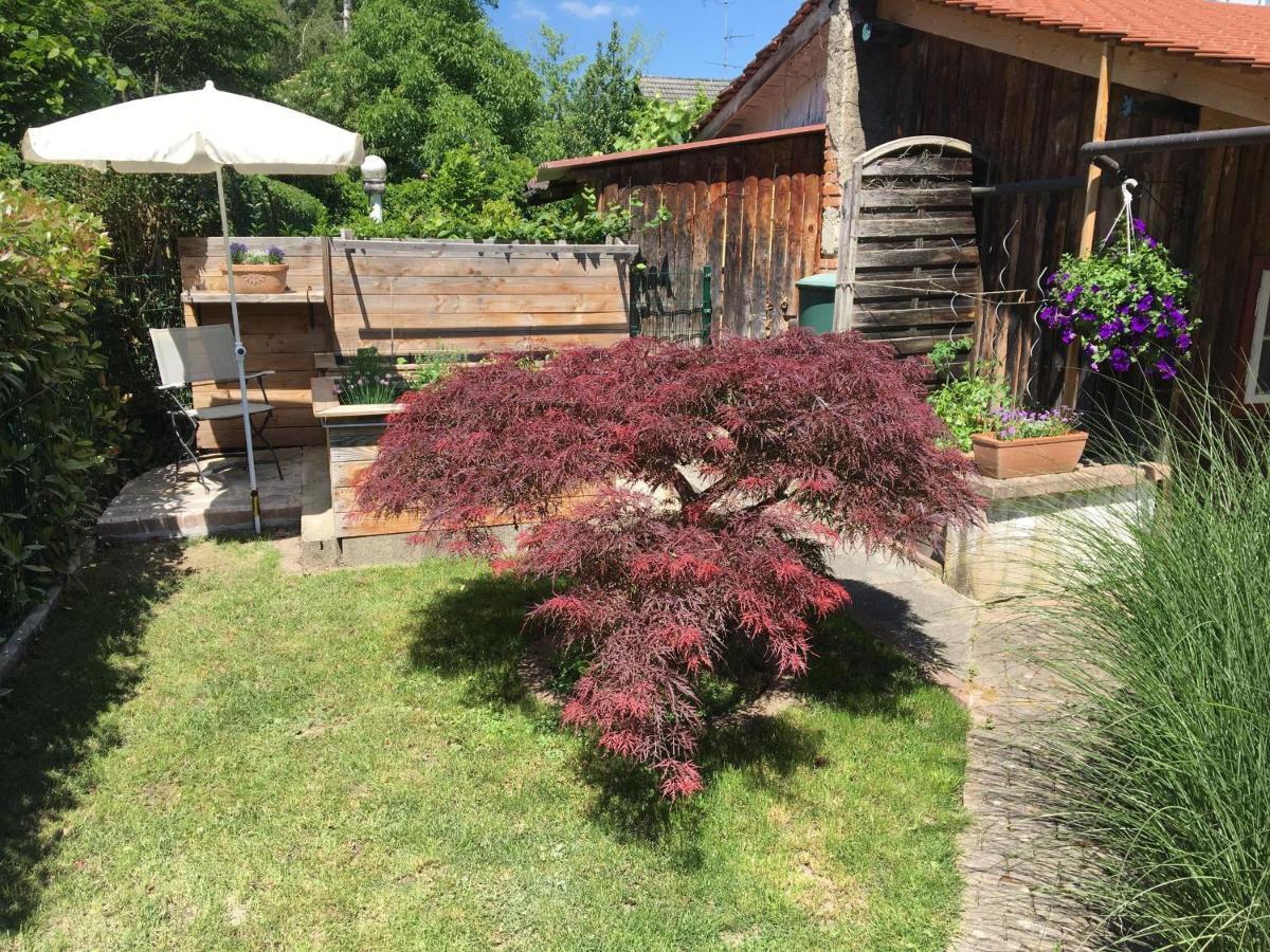 Ferienwohnung Dashaus Rheinfelden  Esterno foto